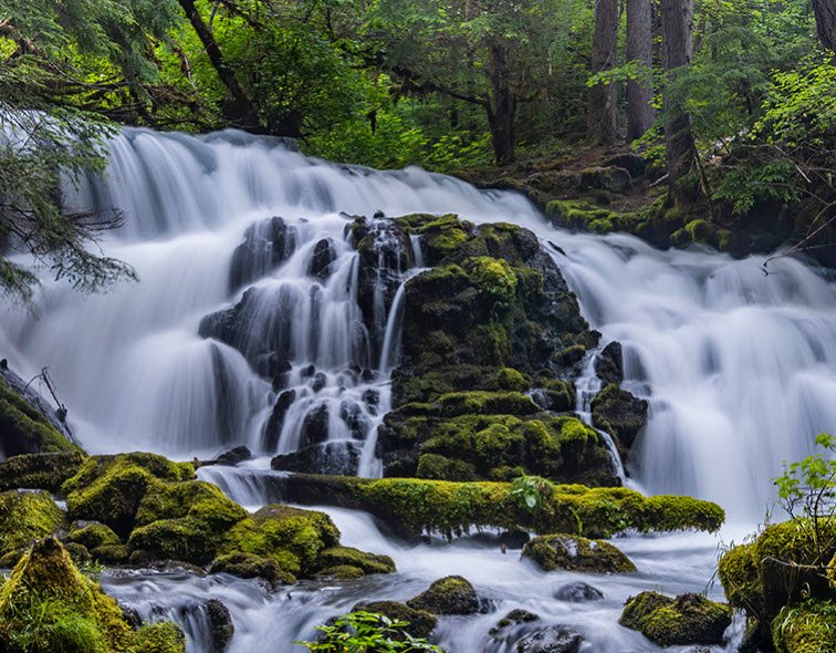 Prospect State Scenic Viewpoint, Oregon, USA